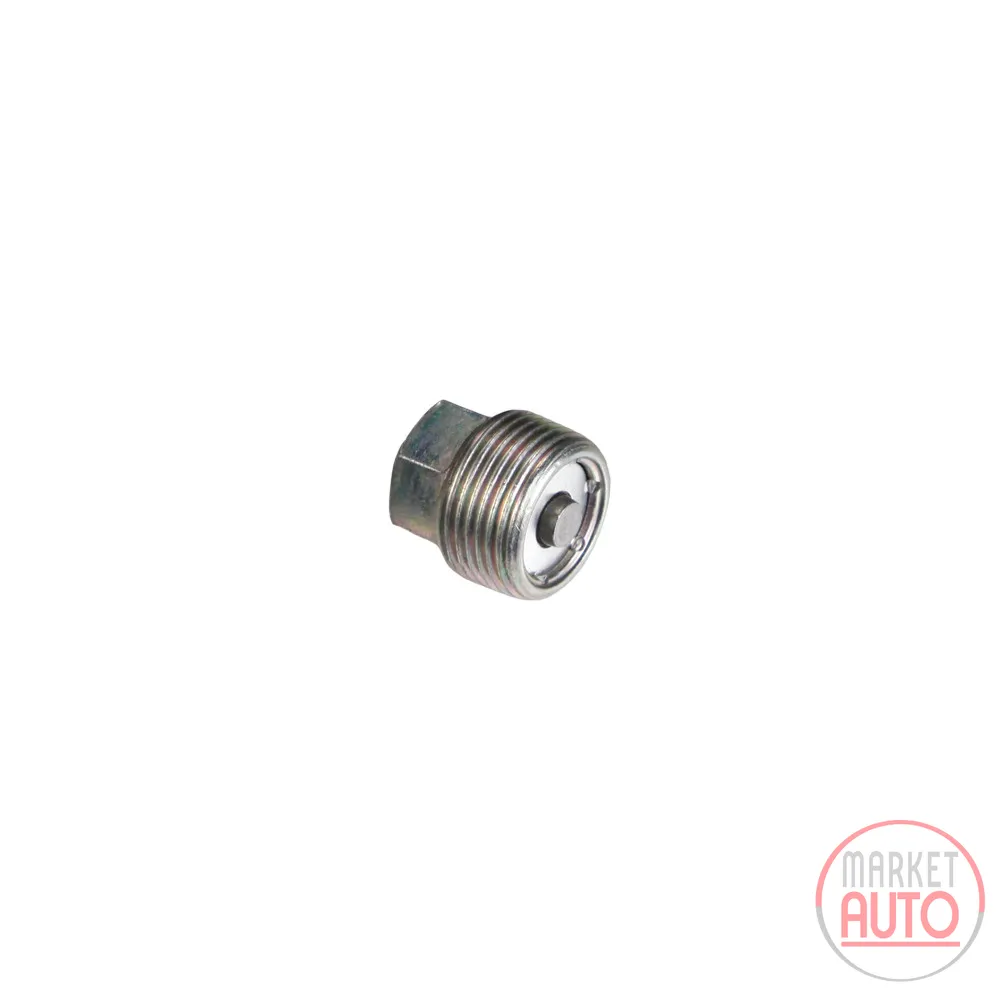 Ölablaßschraube magnetisch 17 Schlüssel