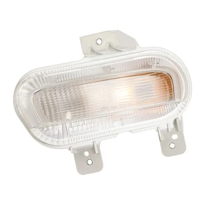 Blinker vorne links