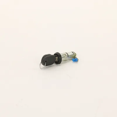 Schließzylinder mit Schlüssel  (1x)