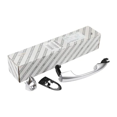 Türgriff vorne links Kunststoff Alu-Look Original FCA (156099955)