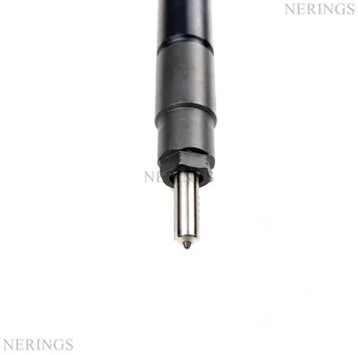 Diesel nozzle industrially renovated (Denso)-NLP