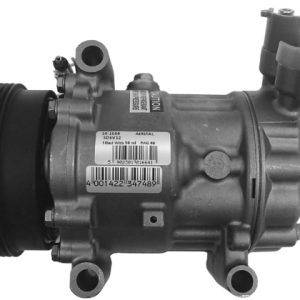 Compresor, aire acondicionado DACIA SD6V12-1910