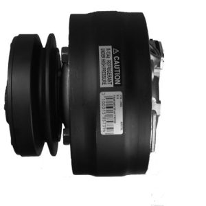 Compresor, aire acondicionado BUICK,PONTIAC 1134354