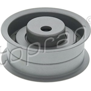 Rodillo tensor 100973001, 51109243