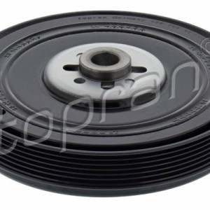 Polea 109798002, 074105251AC,