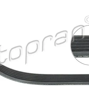 Correa trapecial poli v 109864001, 036145933J,