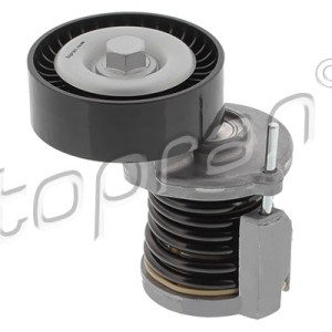 Tensor de correa 110096002, 038903315AN,