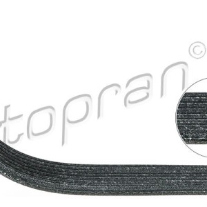 Correa trapecial poli v 112977001, 022145933P,