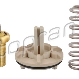 Termostato 113296001, 03C121110Q,