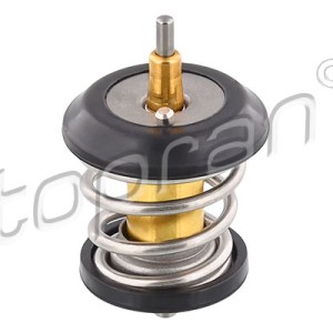 Termostato 113297001, 06H121113B,
