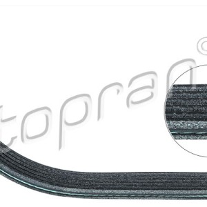 Correa trapecial poli v 113460001, 038903137S,