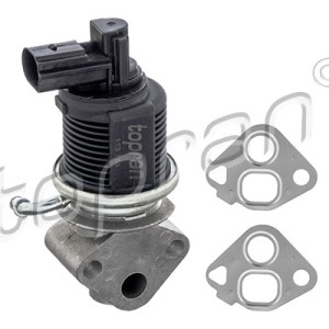 Válvula egr 113753001, 036131503T,