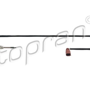 Sensor 116973001, 03L906088FE,