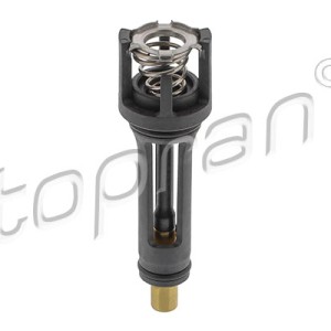 Termostato 117023001, 06L121113A,