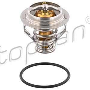 Termostato 117063001, 06J121113A,