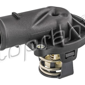 Termostato 117192001, 059121111L,