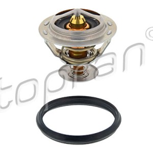 Termostato 117209001, 04L121113D,