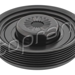 Polea 117445001, 04C105243D,