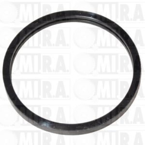 GUARNIZ. TÉRMINO. RENAULT CLIO I/MEGANE I/RÁPIDO 60800134