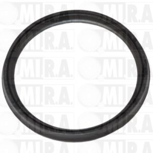 GUARNIZ. M/TTO PASS.ARIA DACIA DUSTER – RENAULT TRAFIC III 8201 089 106