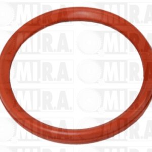 GUARNIZ. M/TTO PASS.ARIA RENAULT MEGANE III/SCENIC III 1.5 D 7701071156