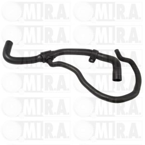 PASE M/TTO. ACQUA RENAULT CLIO II – KANGOO (03>) 82 003 313 06