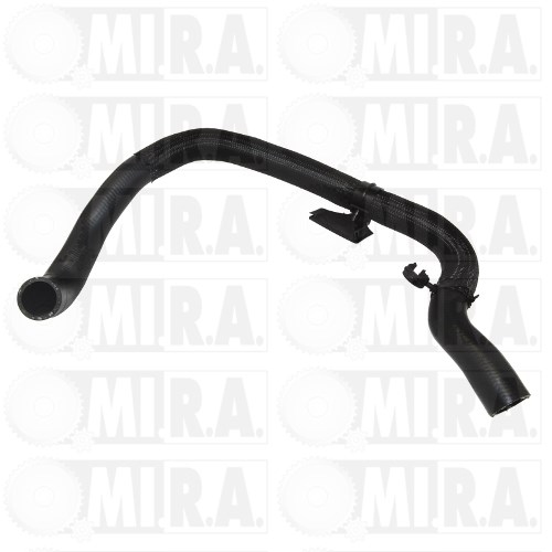 PASE M/TTO. ACQUA FORD TRANSIT V 2.0 TDCI 1935456