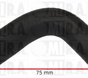 M/TTO PASS.OLIO RENAULT CLIO III/MODUS/KANGOO 8200041982