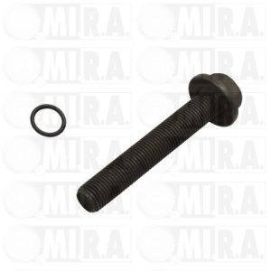 BULLONE FISSAGGIO PULEGGIA 17/2438 1 139 286