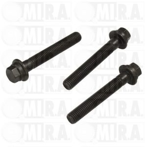 BULLONE FISSAGGIO PULEGGIA 17/2540 1 124 891