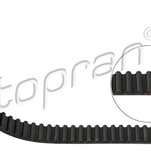Correa dentada 207111001, 5636452