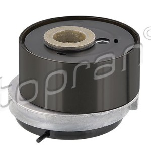 Rodillo tensor 207975001, 636160