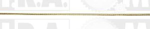 ASTINA OLIO FIAT DOBLO 1.9 JTD 46819798