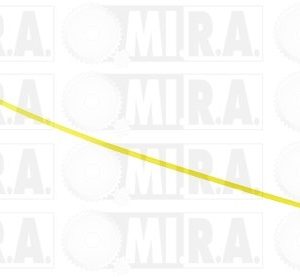 ASTINA OLIO RENAULT 1.9D 8200059541