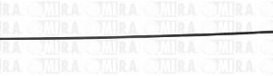 ASTINA OLIO PSA AX/BX/106/205 1.1/1.4 1174.10