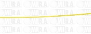 ASTINA OLIO RENAULT KANGOO 77 01 060 940