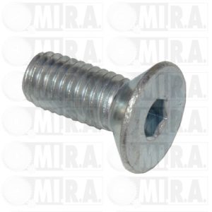 VITE BANCO MOTORE FIAT 500D/F/L/126 13303711