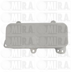 SCAMB.CALORE VW TOUAREG/TRANSPORTER 2.5 TDI 070117021D
