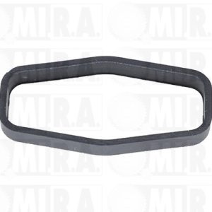 GUARNIZ. POMPA OLIO FORD/MAZDA/PSA 1.4/1.5/1.6D 1019.34