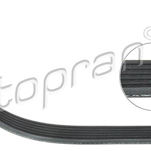 Correa trapecial poli v 302093001, 1102827