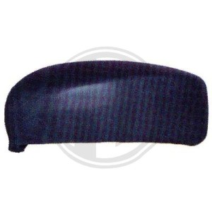 Cubierta, retrovisor exterior 735311423