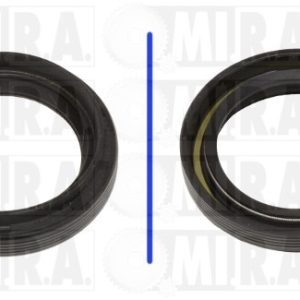 DIFERENCIA PARAOLIO. DACIA DUSTER – RENAULT CLIO III 8200 110 847