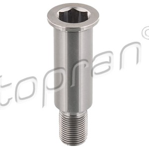 Gorrón 400004001, 6062020120