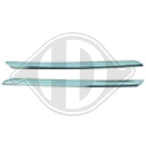 List¢n embellecedor/protector, panal de radiador 62 07 233 41R