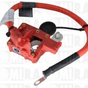 BATERIA POSITIVA CAVO CON FUSIBLE BMW/MINI (04>) 61129217031