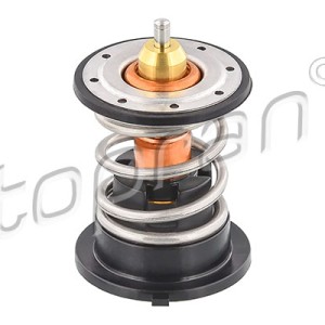 Termostato 502662001, 11518512234
