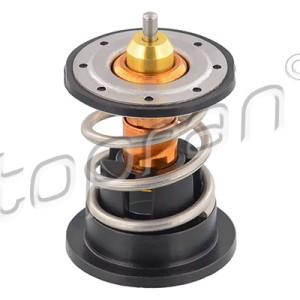 Termostato 503055001, 11517805192