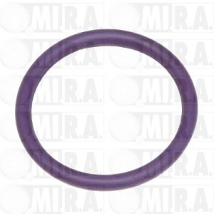 GUARNIZ. JUNTA TORICA 23X28 2104900QAD
