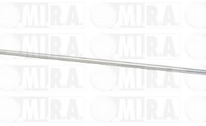 ASTA REGGI COFANO ANT. FIAT DUCATO (14>) 1374353080