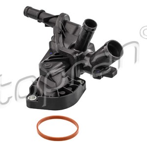 Termostato 630320001, 110616064R,